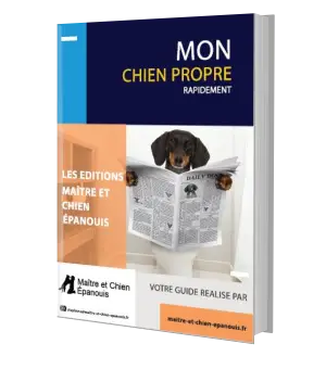 low-resolution apprendre la propreté à son chiot