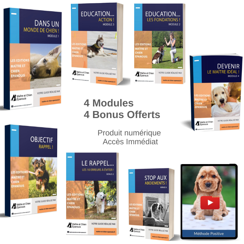 Methode education chien positive