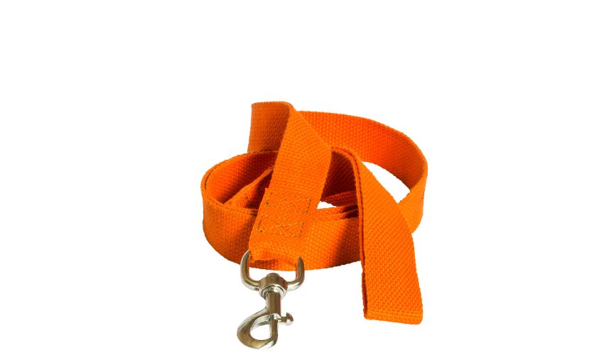 longe-pour-canide-orange