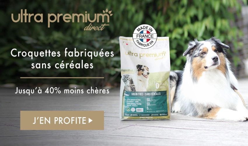 Ultra-Premium-Direct-berger-australien-croquetes-chien