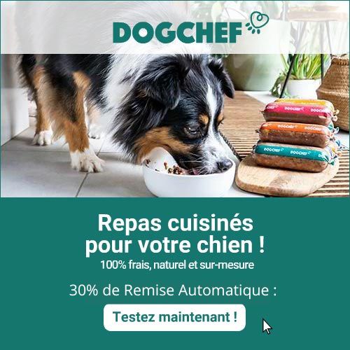 dog-chef-code-promo-automatique-30%