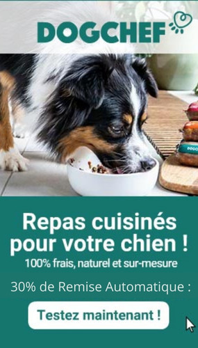 Dog-chef-code-promo