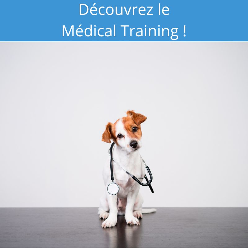 formation-medical-training