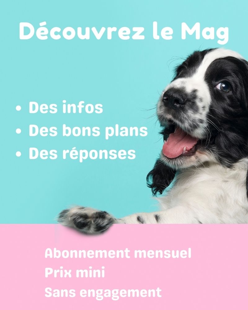 Abonnement-Le-Mag-canin